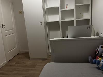 Picture 15